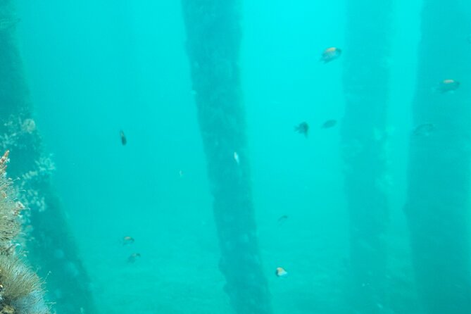 Busselton Jetty and Underwater Observatory - Guide Terry and the hospitality factor