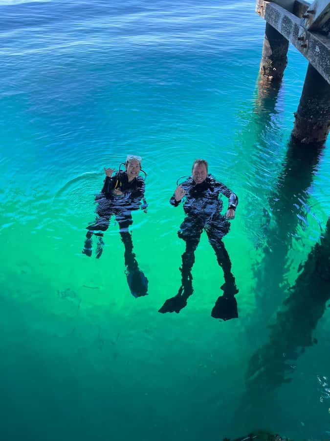 Busselton: Jetty Scuba Dive Tours with Underwater Sculptures - Key things that make this tour worth your time