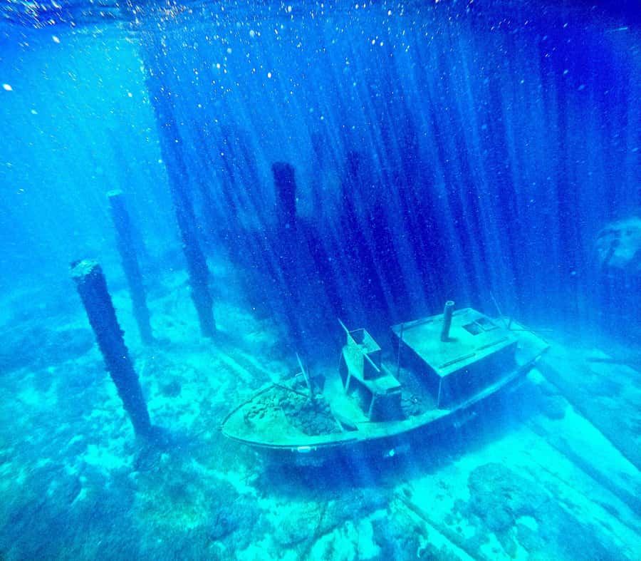 Busselton: Jetty Scuba Dive Tours with Underwater Sculptures - Who this tour is best for (and who should skip it)