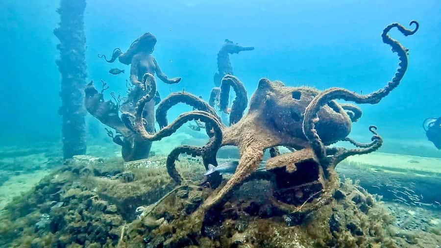 Busselton: Jetty Snorkeling Tour with Underwater Sculptures - Why Busselton Jetty snorkel feels different from a beach swim