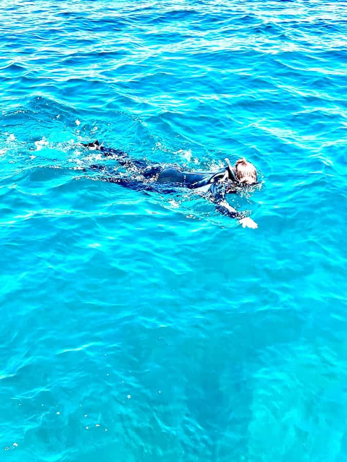 Busselton: Jetty Snorkeling Tour with Underwater Sculptures - The jetty end: what you’ll actually see underwater
