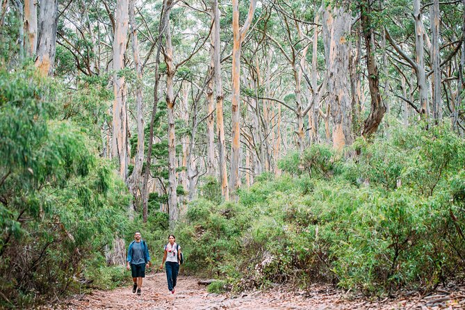 Busselton, Margaret River and Augusta 2-Day Tour from Perth - Key Things That Make This Tour Worth Your Time