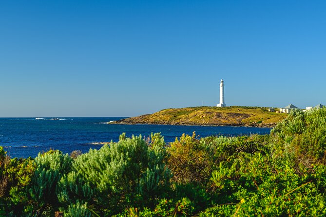 Busselton, Margaret River and Augusta 2-Day Tour from Perth - Day 2: Cape Leeuwin Lighthouse, Lake Cave, and Karri Forest Calm