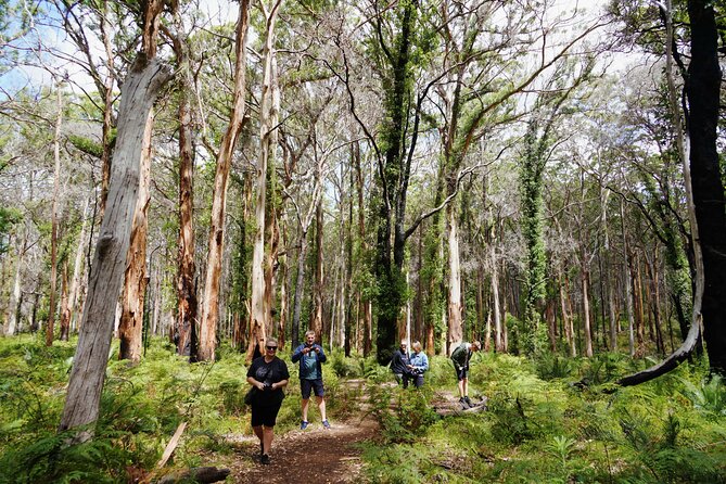 Busselton, Margaret River and Augusta 2-Day Tour from Perth - The Guide Factor: Why David’s Style Shows Up in the Reviews