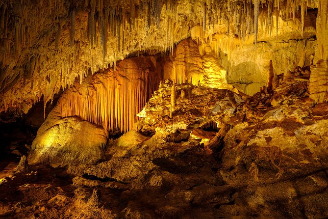 Busselton, Margaret River and Augusta 2-Day Tour from Perth - Best For Who (And Who Should Skip)