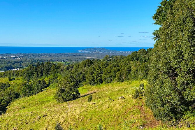 Byron Bay and Bangalow from Gold Coast - The Farm break: coffee, animals, and a simple bite