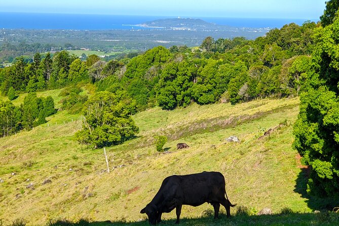Byron Bay and Bangalow from Gold Coast - Getting picked up from Worongary and what the ride is like