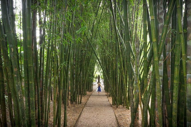 Byron Bay and Beyond Tour Including Cape Bryon Lighthouse Crystal Castle and Bangalow - Group size, guide vibe, and how the day feels