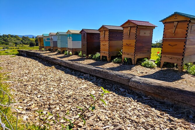 Byron Bay, Bangalow & Gold Coast Day Trip from Brisbane - Stop 4: Byron Bay Town Time (Lunch, Shops, and Beach Break)