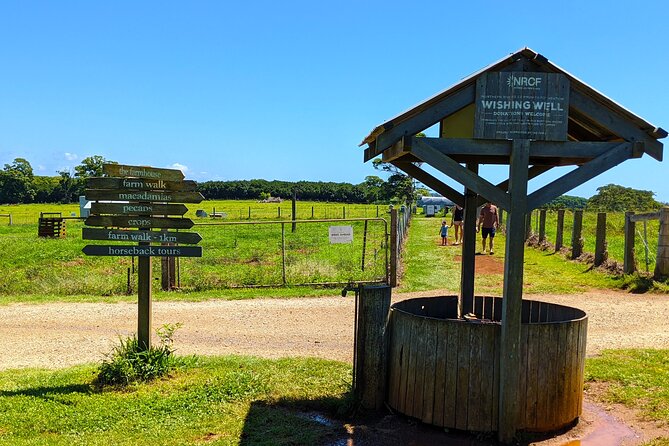 Byron Bay, Bangalow & Gold Coast Day Trip from Brisbane - Stop 5: Byron Bay Wildlife Sanctuary (Optional Nut and Ice Cream Time)