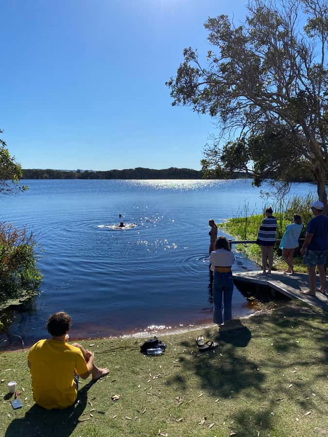 Byron Bay: Behind The Bay Waterfalls & Hidden Gems Day Tour - Key highlights worth planning for