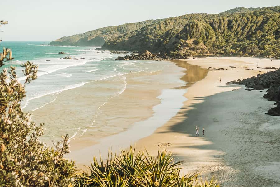 Byron Bay: Behind The Bay Waterfalls & Hidden Gems Day Tour - Dolphin watching and marine-life viewing: wildlife time built into the drive