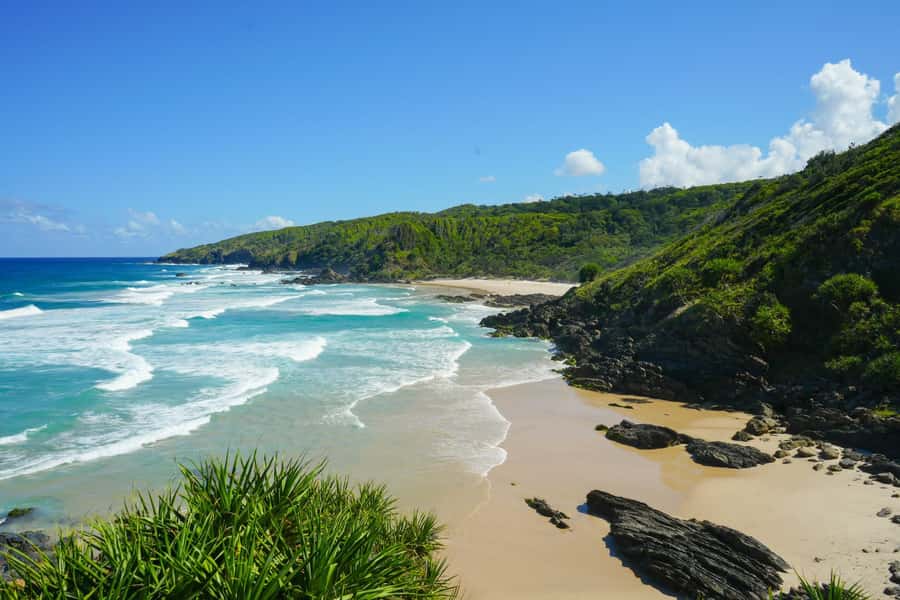 Byron Bay: Behind The Bay Waterfalls & Hidden Gems Day Tour - Killen Falls: the waterfall swim that makes the day feel special