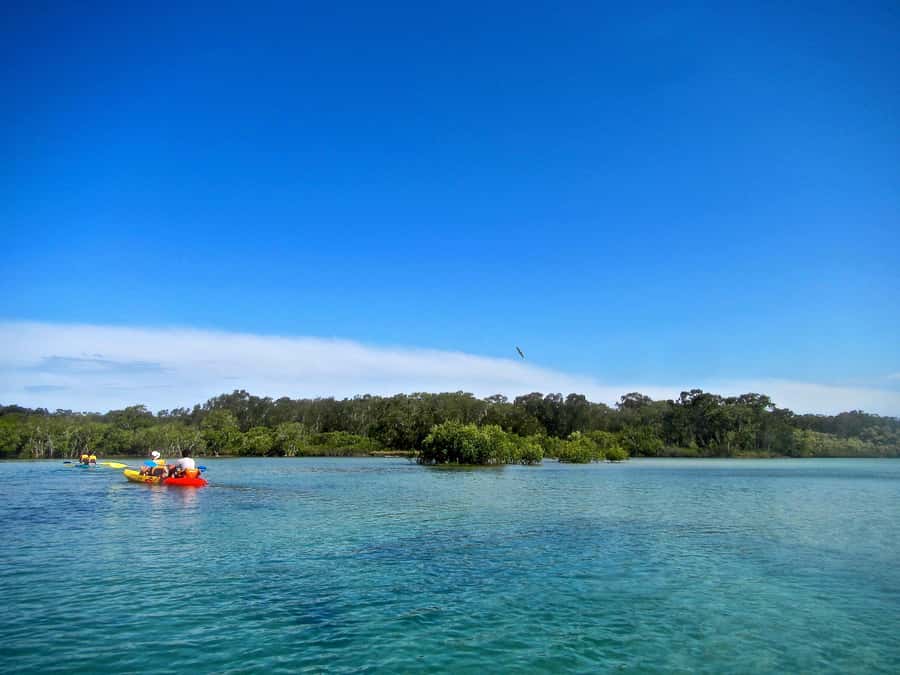 Byron Bay: Brunswick River Scenic Kayak Tour - Should You Book This Byron Bay Brunswick River Kayak Tour?