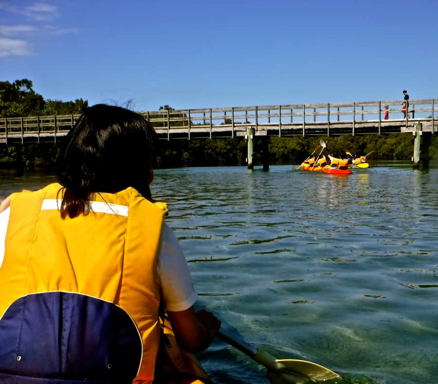 Byron Bay: Brunswick River Scenic Kayak Tour - The Riverside Break: Snack Stop, Swim Time, and a Secluded Beach Picnic