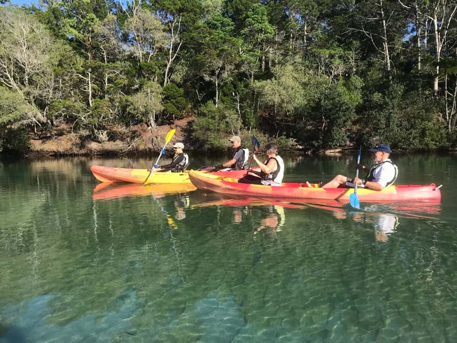 Byron Bay: Brunswick River Scenic Kayak Tour - Price and Value: Getting $42 Worth of River Time