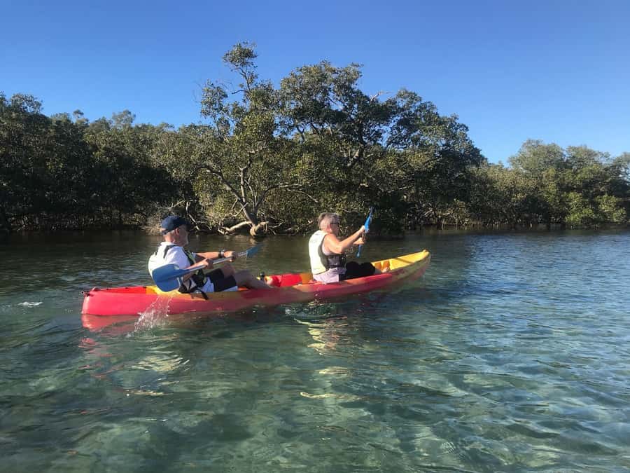 Byron Bay: Brunswick River Scenic Kayak Tour - Who Should Book This Tour (And Who Might Not Love It)