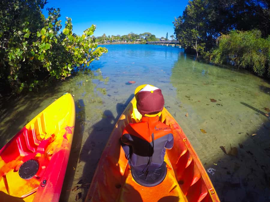 Byron Bay: Brunswick River Scenic Kayak Tour - Reviews’ Biggest Themes: Guides, Serenity, and Wildlife That Doesn’t Feel Promised-Only