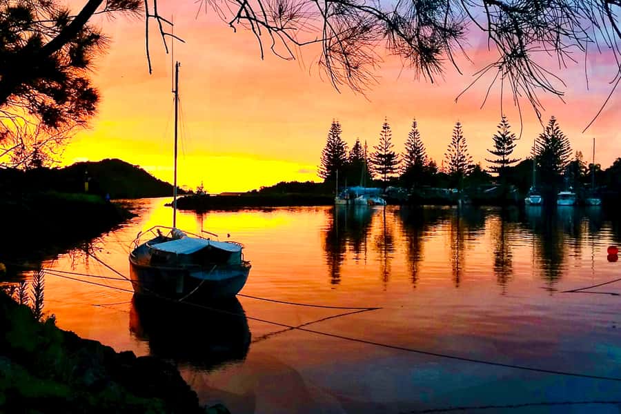 Byron Bay: Brunswick River Sunset Kayak Tour - Wildlife Odds: Pelicans, Sea Eagles, and Stingrays Under Your Kayak
