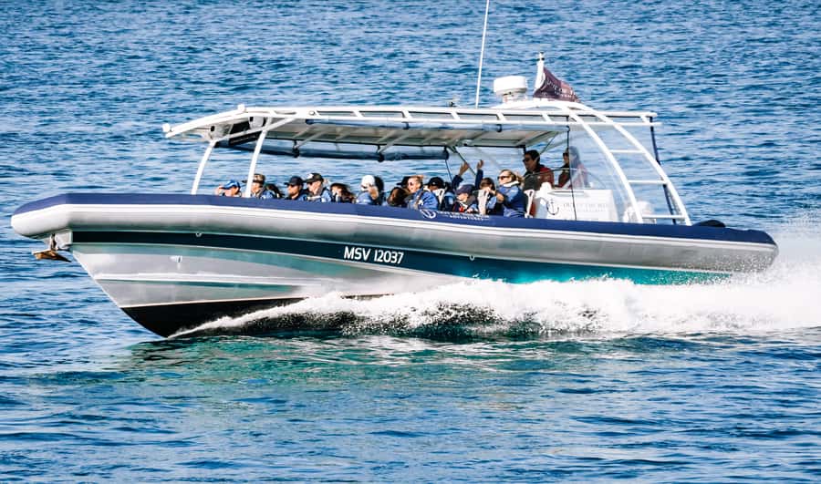 Byron Bay: Cruise with Dolphins Tour - Onboard comfort: eco-friendly vessel, life jackets, and what to bring