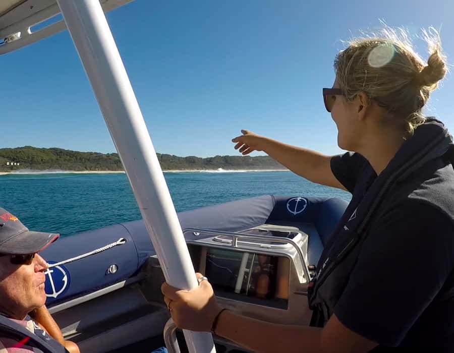 Byron Bay: Cruise with Dolphins Tour - How the 90 minutes works in real life