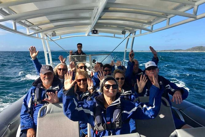 Byron Bay Dolphin Tour - Ocean Safari - The 90 Minutes at Sea: What the Ocean Safari Feels Like