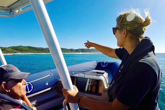 Byron Bay Dolphin Tour - Ocean Safari - Dolphins Close Up, Plus Sea Turtles and Birdlife