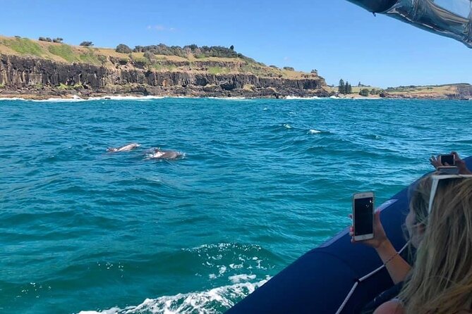Byron Bay Dolphin Tour - Ocean Safari - Cape Byron Lighthouse Views From the Water (and Why That Matters)