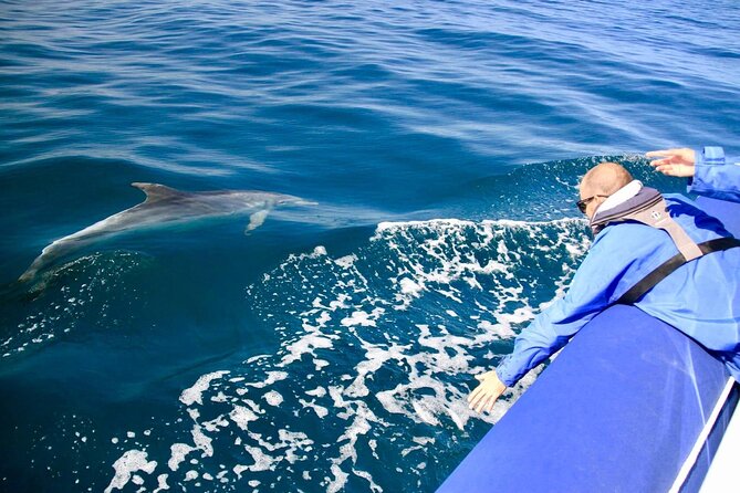 Byron Bay Dolphin Tour - Ocean Safari - Locally Made Snacks: Small Detail, Real Comfort