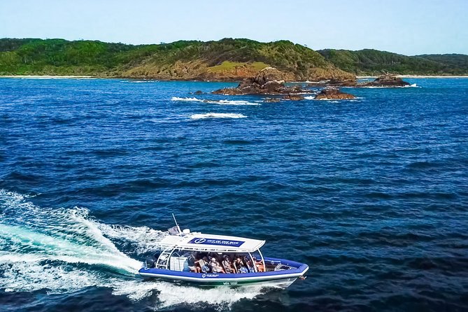 Byron Bay Dolphin Tour - Ocean Safari - Out Of The Blue Adventures Meeting Point and the Included Shuttle From Town