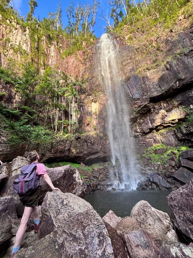 Byron Bay: Glowworms, Waterfalls & Rainforest Experience - Getting There: Byron Visitor Centre, NSW Time, and a Central Meet-Up