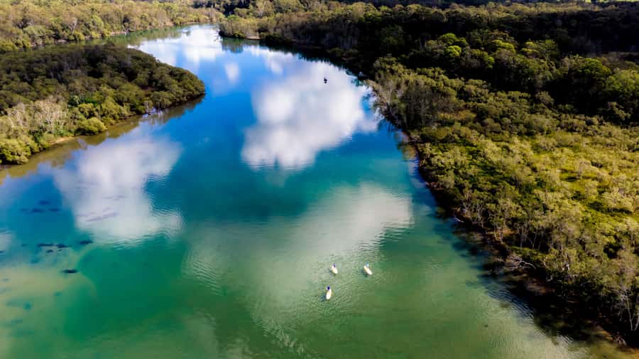 Byron Bay: Group 2.5 Hour Stand-Up Paddle Board Tour - Transfers, Gear, and What You Really Get for $60