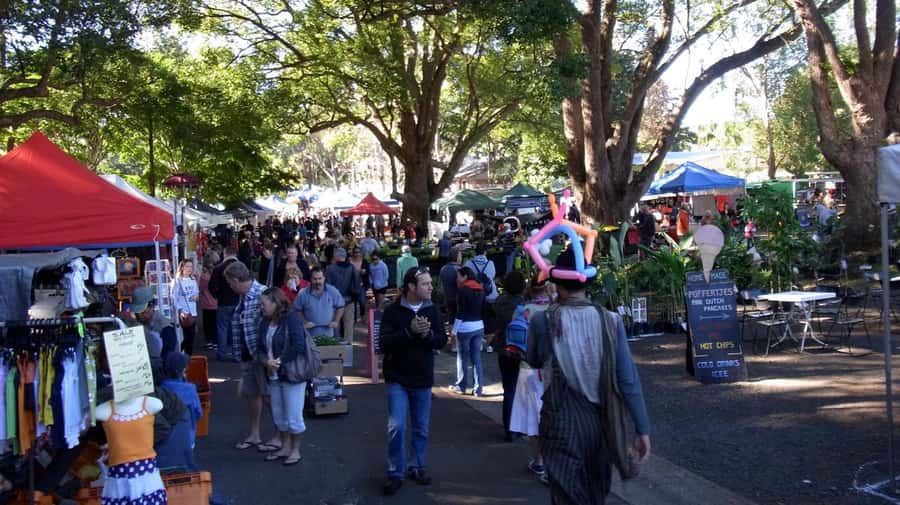 Byron Bay: Hinterland and Bangalow Full-Day Guided Tour - BBQ lunch in the mix: what’s included and what to expect