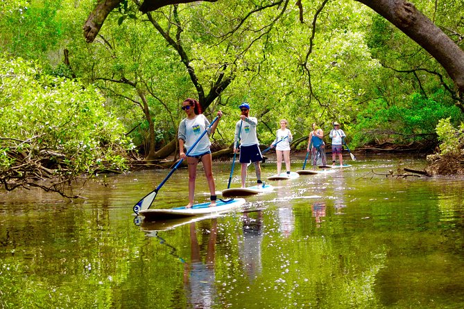 Byron Bay Platypus Walk - Meet Wendy: The Guide Experience That Changes the Mood
