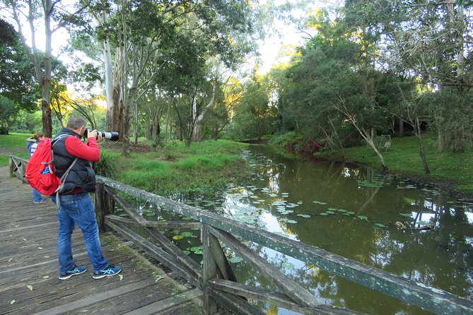 Byron Bay Platypus Walk - What Happens If You Don’t See a Platypus