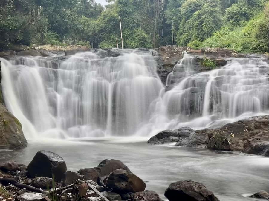 Byron Bay: Rainforest Waterfalls Guided Eco Tour - Key highlights worth marking on your map