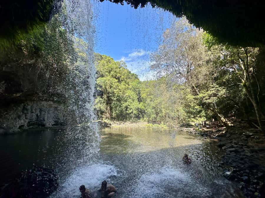 Byron Bay: Rainforest Waterfalls Guided Eco Tour - Starting at Butler Street Reserve and the Jeep/SUV ride to Goonengerry