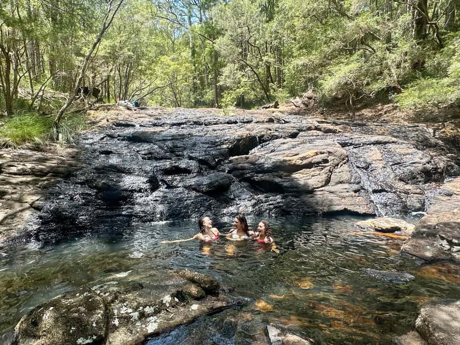 Byron Bay: Rainforest Waterfalls Guided Eco Tour - The cafe break: a calm pause where you can choose lunch