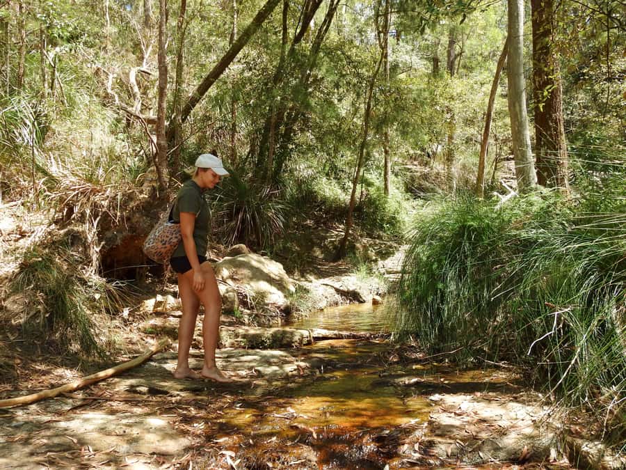 Byron Bay: Rainforest Waterfalls Guided Eco Tour - The Soul Connect Ceremony and the minimal-impact way of experiencing nature
