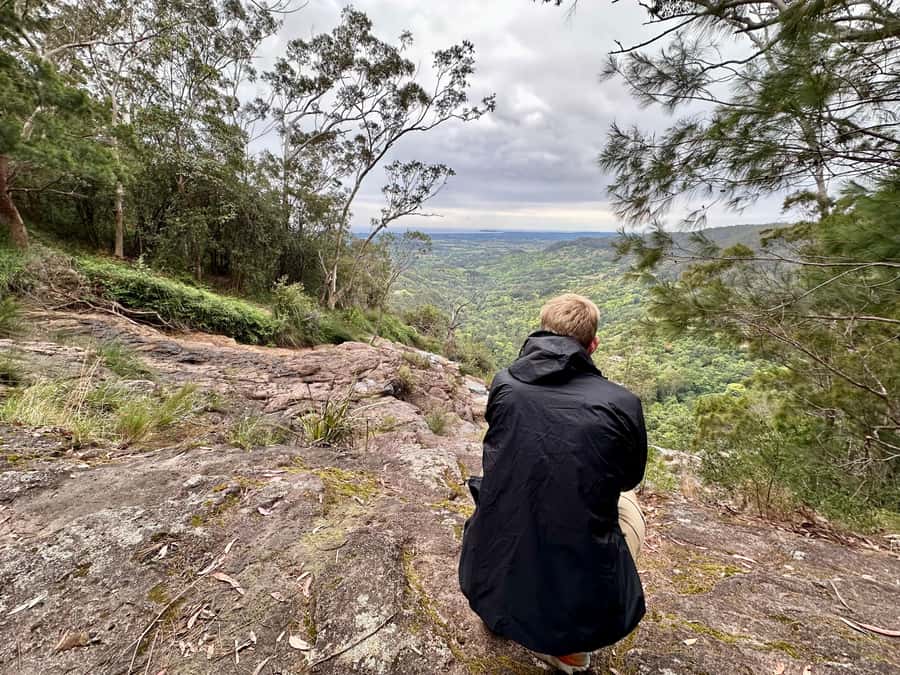 Byron Bay: Rainforest Waterfalls Guided Eco Tour - What the guide teaches: local ecology you can use
