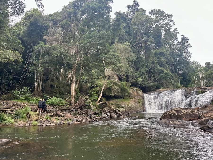 Byron Bay: Rainforest Waterfalls Guided Eco Tour - What to pack and how to be comfortable (even if it rains)