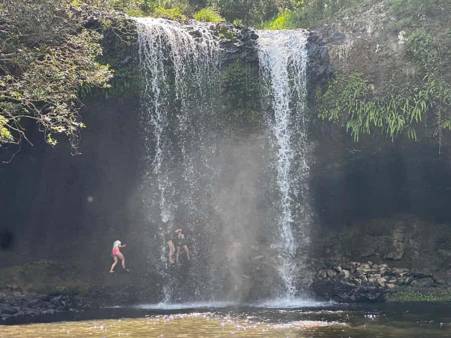 Byron Bay: Rainforest Waterfalls Guided Eco Tour - Goonengerry: the rainforest walk, wildlife spotting, and first swim