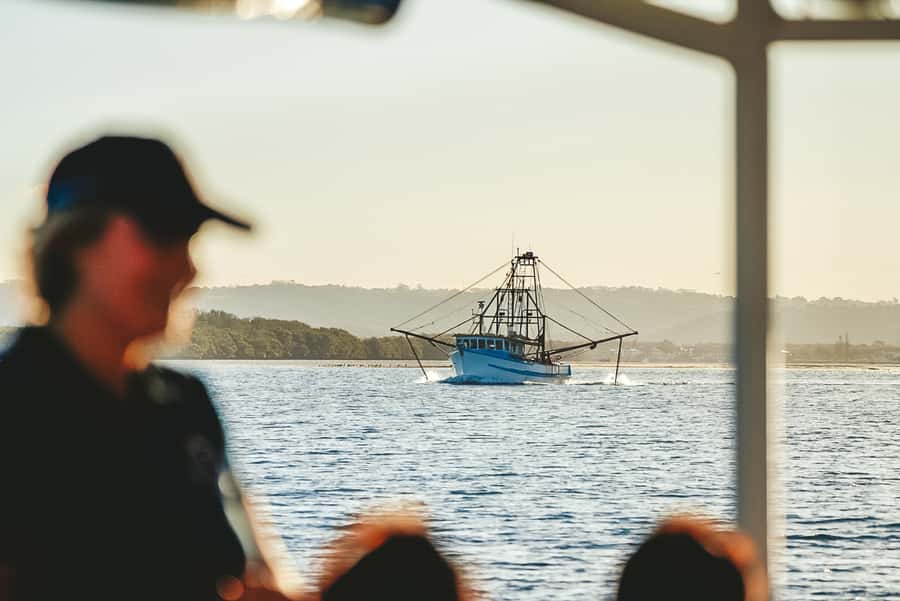 Byron Bay: Scenic Sunset River Cruise - Dolphins and rare birds: the real reason people book