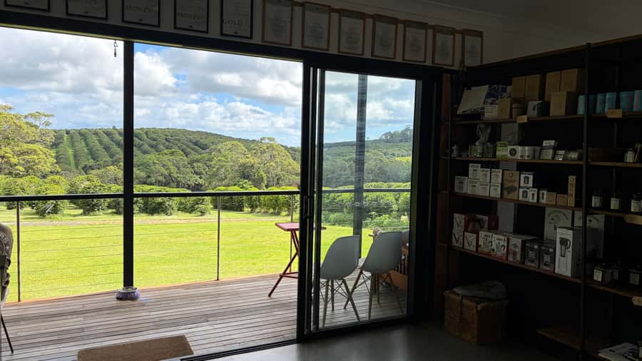 Byron Bay: Wildlife and Waterfall Tour with Breakfast - Price and Value: What $105 Covers (and Why It Might Be Worth It)