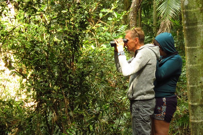 Byron Bay Wildlife Safari - Zoo-Style vs. Safari-Style Wildlife Watching in Byron Bay