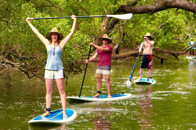 Byron Stand Up Paddle Nature Tour - Price and Time: $71.01 for a 2-Hour Nature Hit