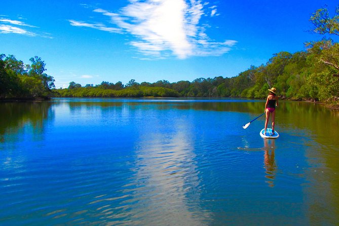 Byron Stand Up Paddle Nature Tour - Paddling Down the Brunswick River: A Protected, Tree-Lined Feel