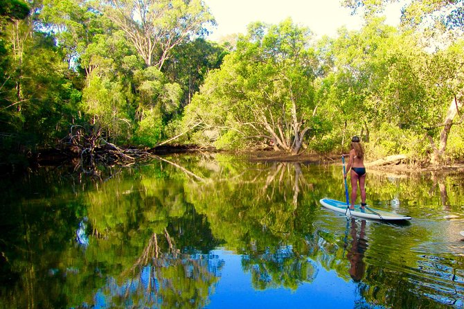 Byron Stand Up Paddle Nature Tour - The Return to Shore: Cold Water and Homemade Snacks