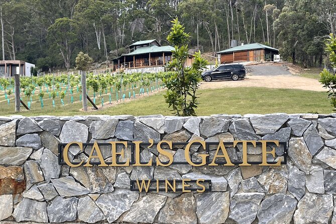Cael’s Gate Wine and Cheese Tasting in Hunter Valley - Wine + Cheese Pairing That Actually Makes Sense