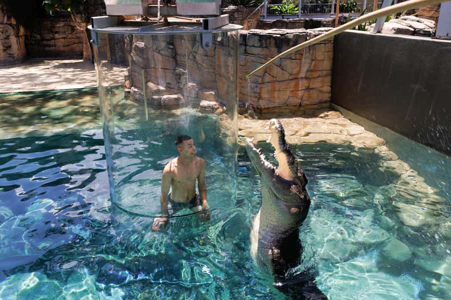 "Cage Of Death" Crocodile Swim and Entry to Crocosaurus Cove - Small practical tips that can make your session smoother